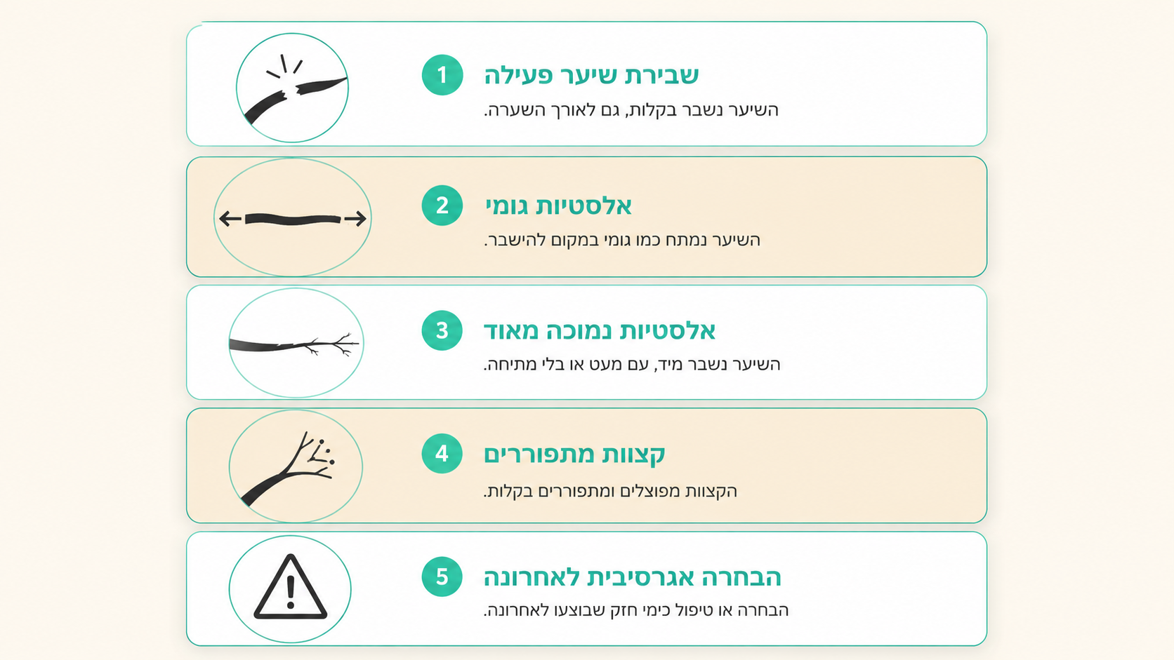 בדיקת אלסטיות שיער לפני החלקה