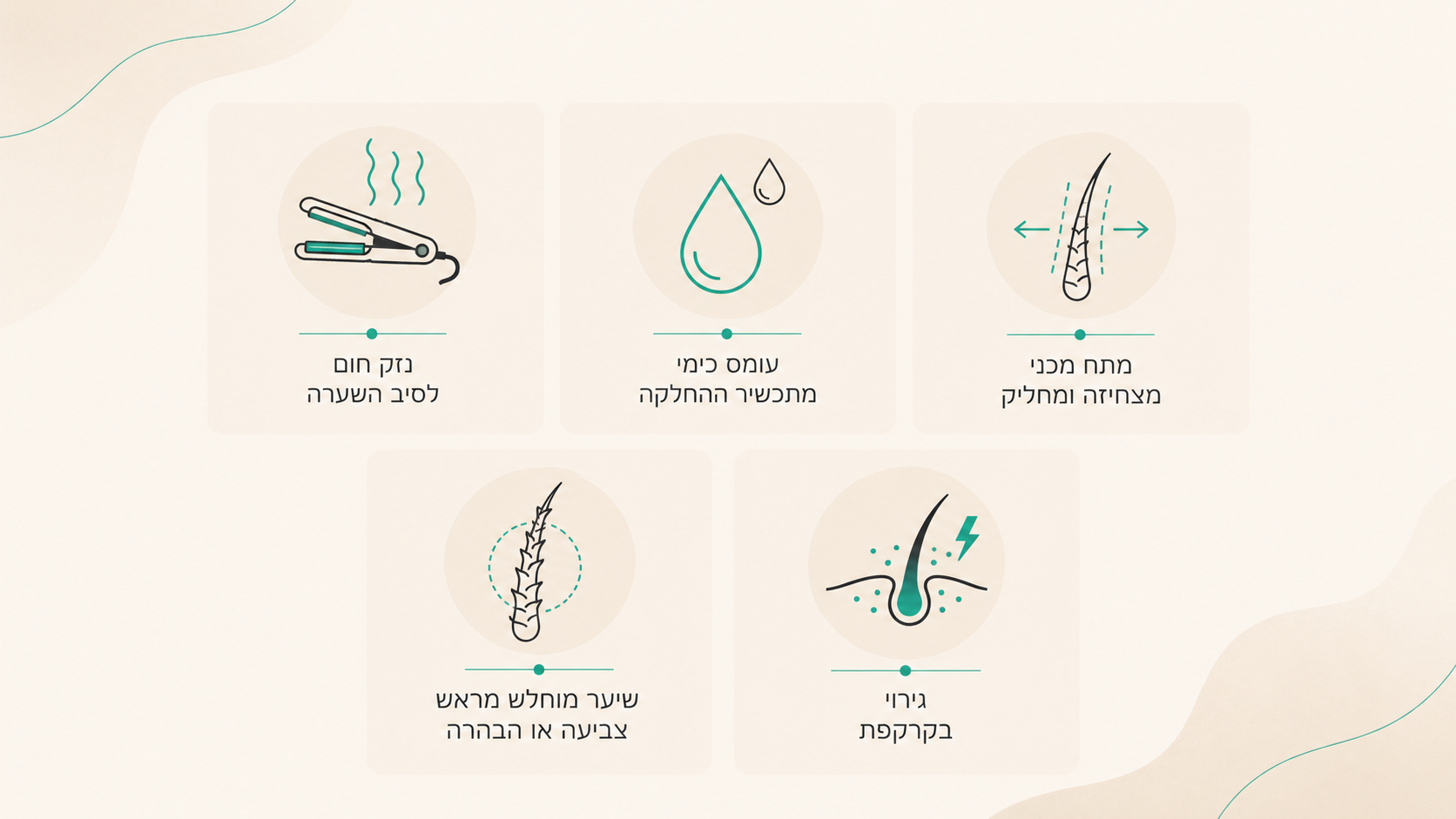 המחשה של נשירת שיער מהשורש לעומת שבירת שיער אחרי טיפול החלקה